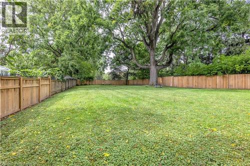 Expansive green lawn with mature trees and wood fencing - 11 Tutela Heights Road, Brantford, ON 