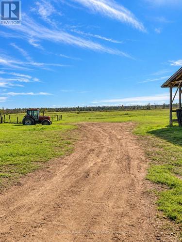 2817 Line 5 Road W, Ramara, ON 