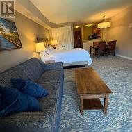 Over-sized Bachelor - 