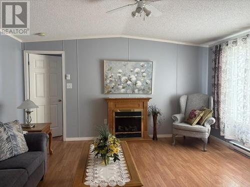 7 Ronald Lane, Stephenville, NL 