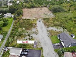 Lot 1 Southside Place Bay Roberts, NL A0A 1X0