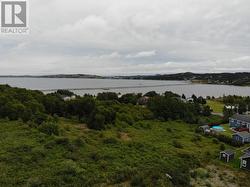 Area View - 