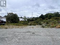 Lot #1 - 