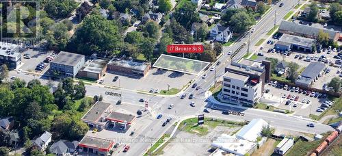 17 Bronte Street S, Milton (Om Old Milton), ON 