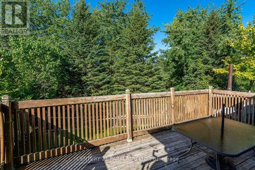 85 Canoe Court, Richmond Hill, ON 