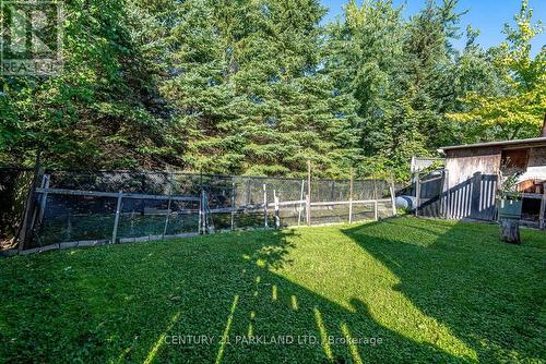 85 Canoe Court, Richmond Hill, ON 