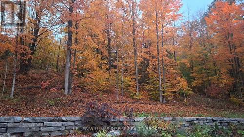 866 Godolphin Road, Trent Hills (Warkworth), ON 