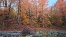866 Godolphin Road, Trent Hills (Warkworth), ON 