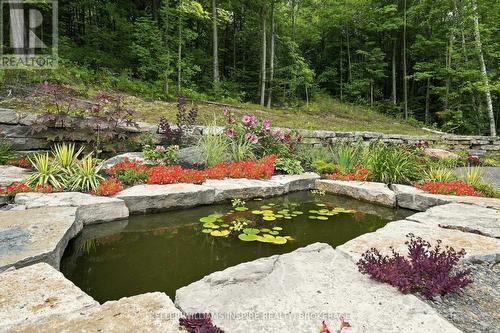 866 Godolphin Road, Trent Hills (Warkworth), ON 