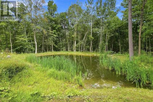 866 Godolphin Road, Trent Hills (Warkworth), ON 