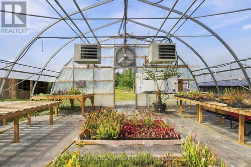 866 Godolphin Road, Trent Hills (Warkworth), ON 
