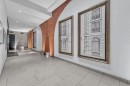 Hall d'entrée/Vestibule - 618-65 Rue St-Paul O., Montréal (Ville-Marie), QC 