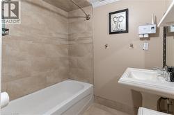 Basement Bathroom - 