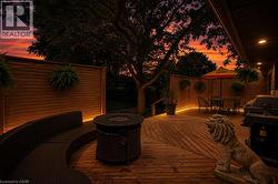 AI Back Deck Dust Shot - 