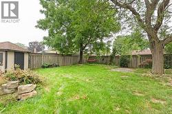 Back Yard - 