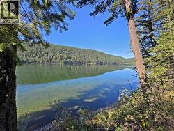 LOT 1 MCLEESE LAKE ROAD Williams Lake, BC V0L 1P0