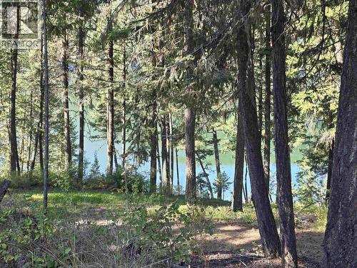 Lot 1 Mcleese Lake Road, Williams Lake, BC 