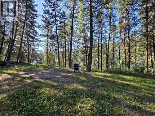 Lot 1 Mcleese Lake Road, Williams Lake, BC 