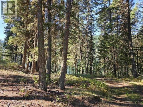 Lot 1 Mcleese Lake Road, Williams Lake, BC 