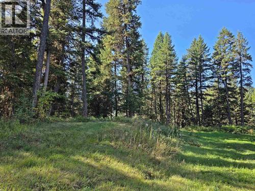 Lot 1 Mcleese Lake Road, Williams Lake, BC 