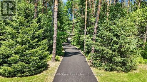 8480 Tosorontio Sideroad 20 Side Road, Adjala-Tosorontio, ON 