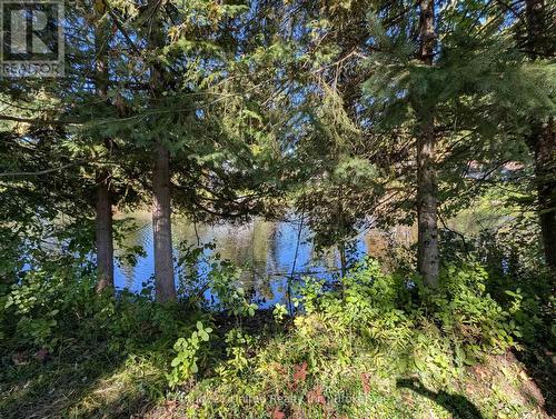 63 Fire Route 104, Kawartha Lakes (Bobcaygeon), ON 