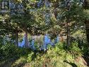 63 Fire Route 104, Kawartha Lakes (Bobcaygeon), ON 