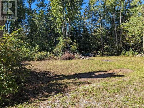 63 Fire Route 104, Kawartha Lakes (Bobcaygeon), ON 