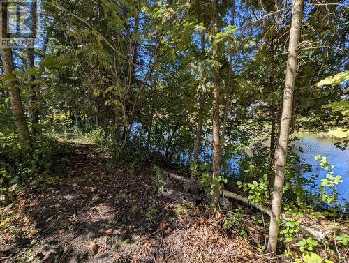 63 Fire Route 104, Kawartha Lakes (Bobcaygeon), ON 