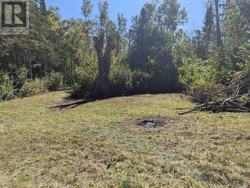 63 Fire Route 104, Kawartha Lakes (Bobcaygeon), ON 
