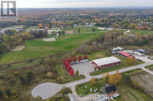 10 Greengage Road, Clearview, ON 