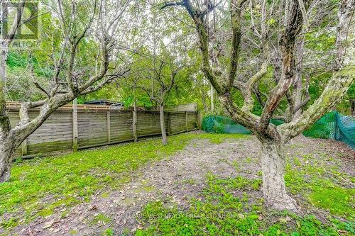 28 Concord Avenue, Toronto, ON 
