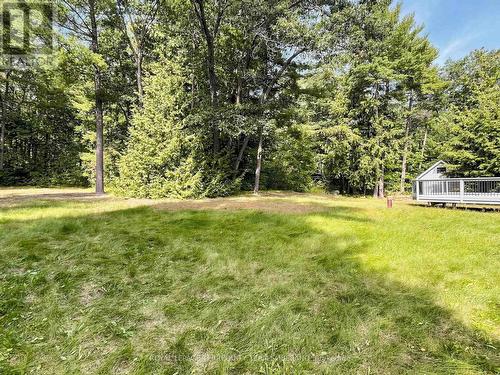 125 White Oaks Avenue, Quinte West, ON 