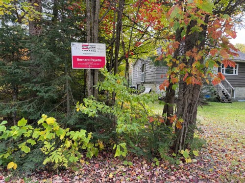 Autre - 4868Z Route 329 N., Sainte-Agathe-Des-Monts, QC 