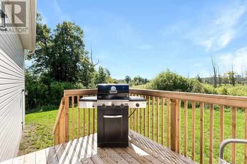 BBQ deck with gorgeous sunset views - 268 Boyds Road, Lanark Highlands, ON 