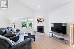 Modern efficient fireplace has wood-burning insert - 