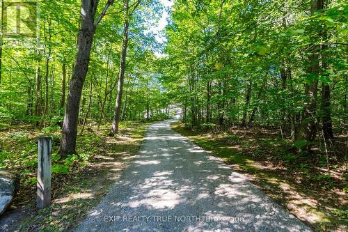 460 Concession Rd 13 E, Tiny, ON 