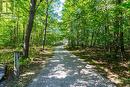 460 Concession Rd 13 E, Tiny, ON 