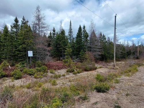 Lot 25 Andreas Popp Lane, Evanston, NS 