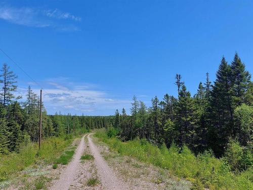 Lot 25 Andreas Popp Lane, Evanston, NS 