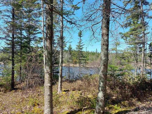 Lot 25 Andreas Popp Lane, Evanston, NS 