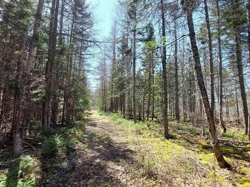 Lot 25 Andreas Popp Lane, Evanston, NS 