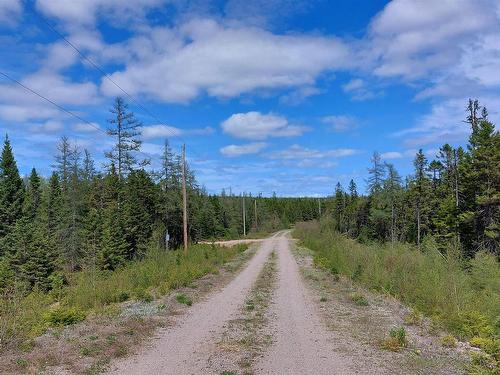 Lot 25 Andreas Popp Lane, Evanston, NS 