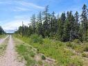 Lot 25 Andreas Popp Lane, Evanston, NS 