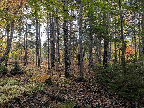 0 Cabot Trail, Cape North, NS 
