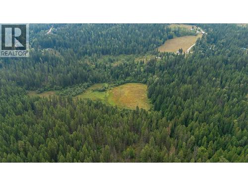 4604 Blewett Road, Nelson, BC 