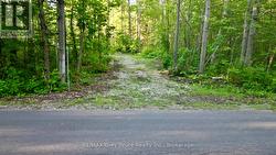 279 BARNEY'S BOULEVARD Northern Bruce Peninsula, ON N0H 1Z0