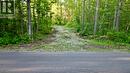 279 Barney'S Boulevard, Northern Bruce Peninsula, ON 
