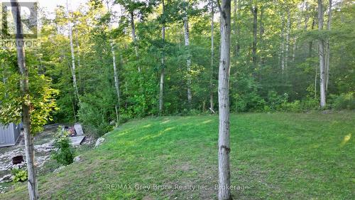 279 Barney'S Boulevard, Northern Bruce Peninsula, ON 