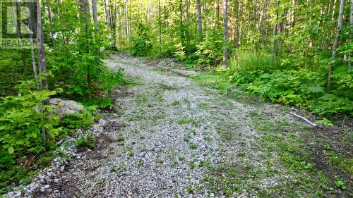 279 Barney'S Boulevard, Northern Bruce Peninsula, ON 